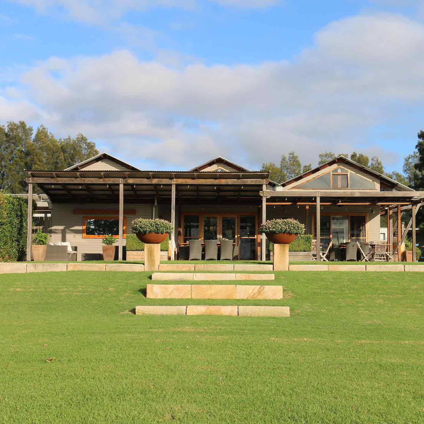 The lawn and vineyard at Two Rivers in early morning light
