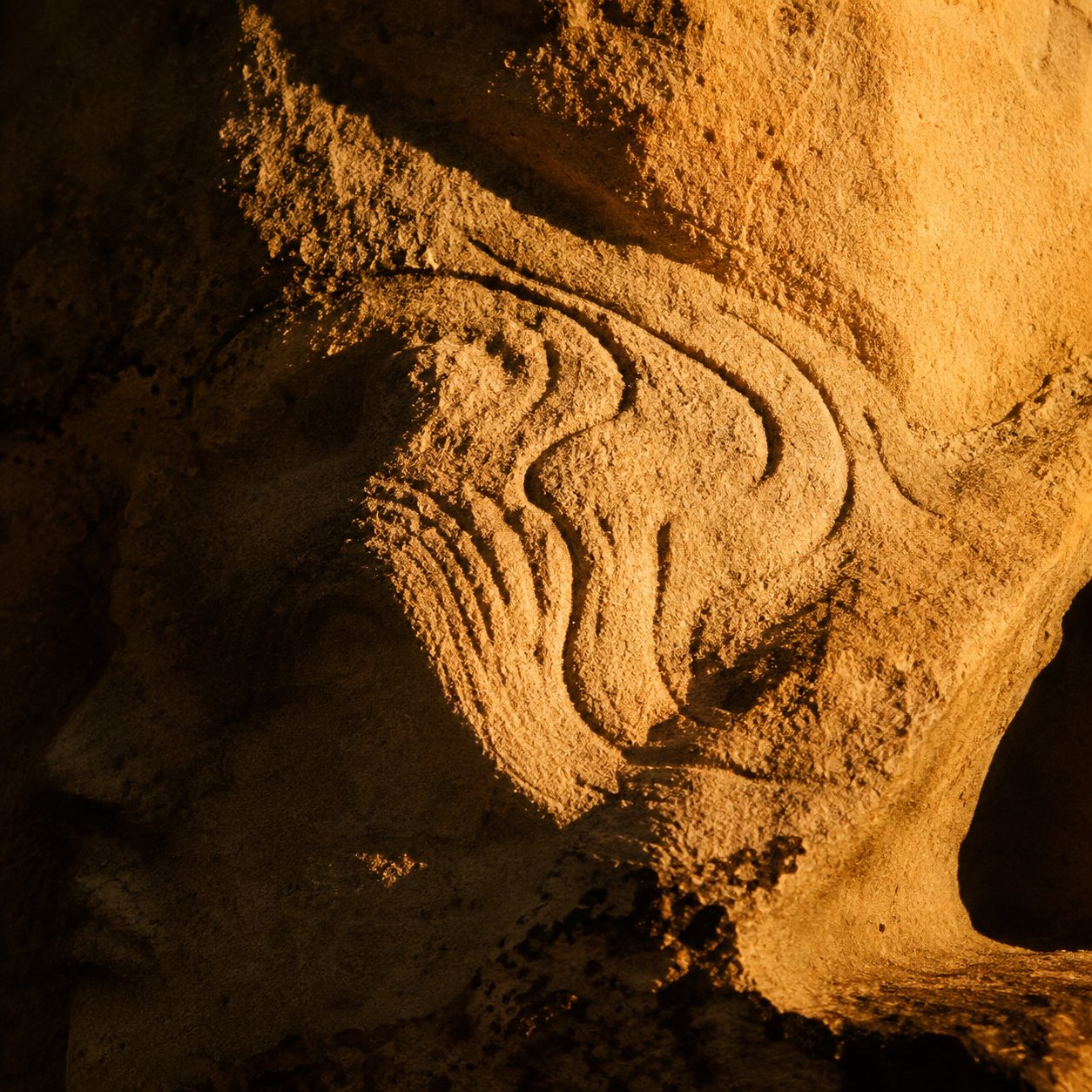 Close detail of carved Narrabeen sandstone